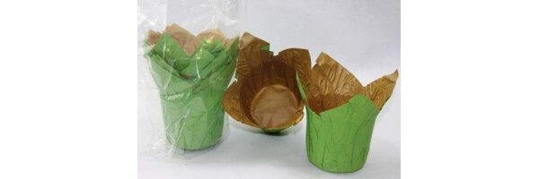 Topfverpackungen Quick-Pot aus Kraftpapier