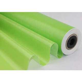Blumenpapier Pergamyn n3629 maigrün