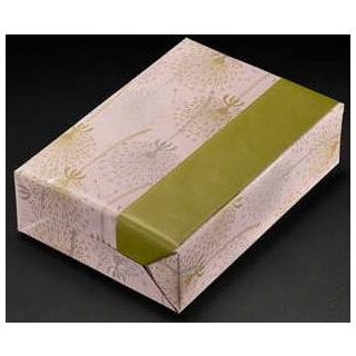 Geschenkpapier Bogen 60236 70x100cm