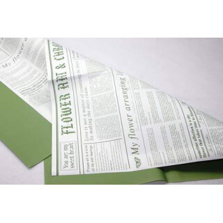 Transmatt Folie Paperlook Newsexpress 1 Pack (20 Bogen) 57x57cm weiß-grün