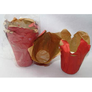 Topfverpackung Quick-Pot rot