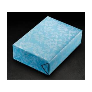 Geschenkpapierbogen 70700 70x100cm Delos hellt&uuml;rkis