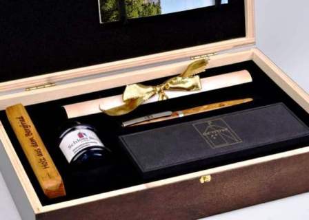 passgenaue Schaumstoffeinlage, schützt schmuck und elektronik